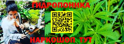 гашишное масло Гусиноозёрск