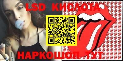 mdpv Гусев