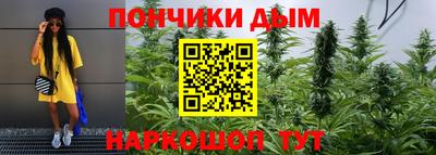 шишки Гусь-Хрустальный
