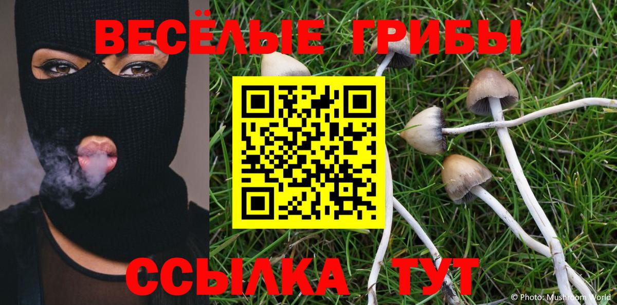 Галлюциногенные грибы MAGIC MUSHROOMS Муравленко